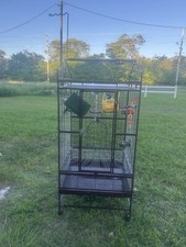 Bird Cage With Accessories Included