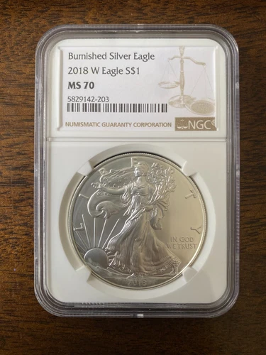 2018 W Burnished Silver Eagle S$1 NGC MS70 Brown Label