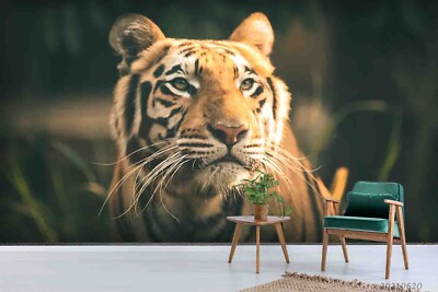 3D Tiger Animal Close-up Self-adhesive Removable Wallpaper Murals