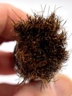 Vintage Ever-Ready Shaving Brush Sterilized Made USA — photo 5