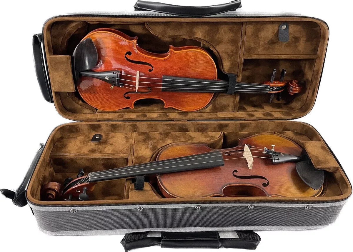 Best violin sale case for professionals