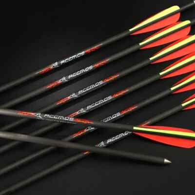 6/12pcs 32'' ID 8 Mm Spine 100Grains Arrowhead Carbon Arrow Archery for Hunting