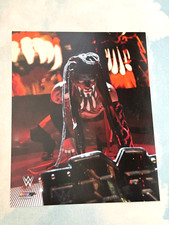 WWE Official Licensed Photofile 8x10 Photo Finn Balor the Demon entrance NXT