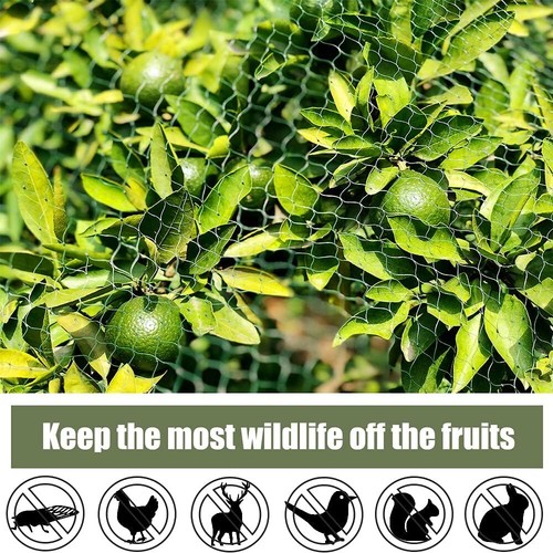 Bird Netting for Garden Poultry Netting for Chicken Coop Protect Fruit Trees - Picture 3 of 34