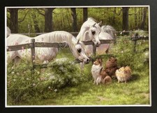 MATTED GREETING CARD MARY HAGGARD PRINT ARABIAN HORSE POMERANIAN FROM PAINTING