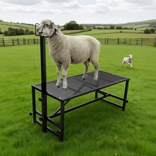 Adjustable 51x24" Metal Trimming Stand for Sheep Goat Milking Livestock Stand