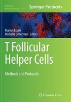 T Follicular Helper Cells Marion EspéLi