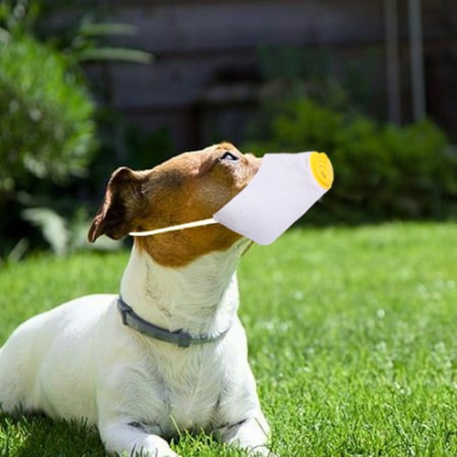 Respiratore per Cani Riutilizzabile Museruola per Cani Regolabile Traspirante Pet Respiratore Maschera 1PZ - Foto 15 di 18