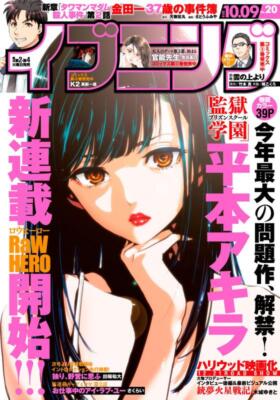 AFTERNOON EVENING MANGA SERIES (JPN) 36 Unique Issues On USB Flash Drive