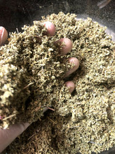 DAMIANA c/s ORGANIC botanical natural herb wild crafted cut leaf - 1 lb 16 oz 