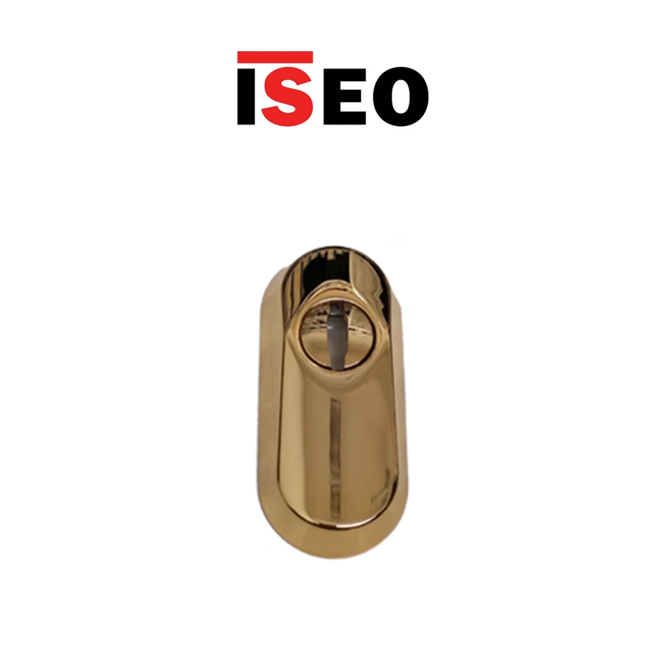 Defender pour Cylindre Acier Trempé Iseo Brassed Poli Art. 98050206 - Photo 1/1