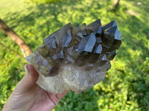 Muestra de cuarzo ahumado Goboboseb (Namibia) 2,47 lb 6,3" - Imagen 4 de 16