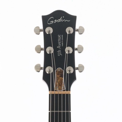 Godin 5th Avenue Uptown GT T-Armond Havana Burst Entrega segura desde Japón - Imagen 4 de 11