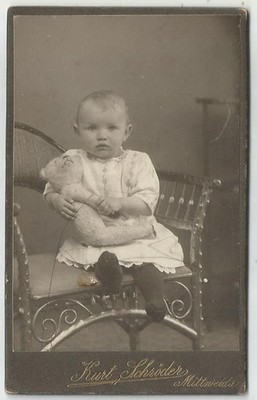 Child with Toy, Teddy Bear, Steiff Animal, Photograph c1900, Mittweida, CDV