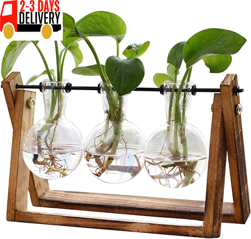Plant Terrarium with Wooden Stand, Air Planter Bulb Glass Vase Metal Swivel Hold