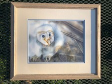 Hand Painted Large Original Watercolor BABY BARN OWL Signed Lynne Taylor Jensen