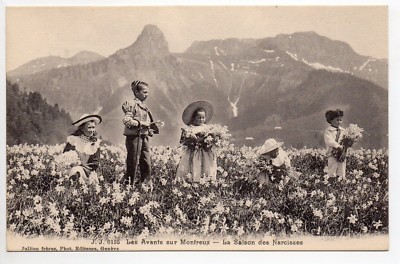 SCHWEIZ SWITZERLAND Kanton Waadt Les AVANTS sur MONTREUX les narzisses children
