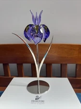 Swarovski Paradise Flower - Damboa Blue Violet 848449 Mint in original box.