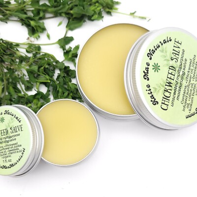 Chickweed Salve Herb Infused Natural Moisturizing Skin Salve