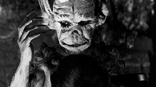 洋画・外国映画 L' Inferno 洋画・外国映画 L' Inferno Amazon.co.jp: L' Inferno : DVD