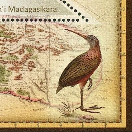 Salanoia Durrelli Stamp Fauna Wild Animal Souvenir Sheet Mint NH - Image 3 of 4