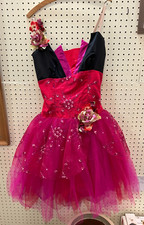 Curtain Call Adult Size 14 Hot Pink/Black Dance Outfit With Attached Skirt