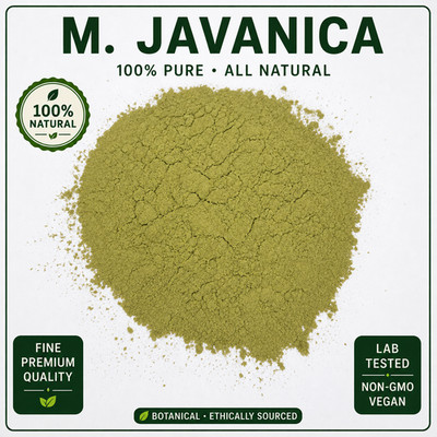 Javanica Green Leaf Powder | Fresh Bulk Botanical 125g to 20kg