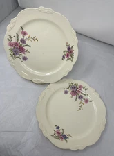 Vintage Homer Laughlin Virginia Rose Dinner Plates Scallop Edge 9.5" USA S/2