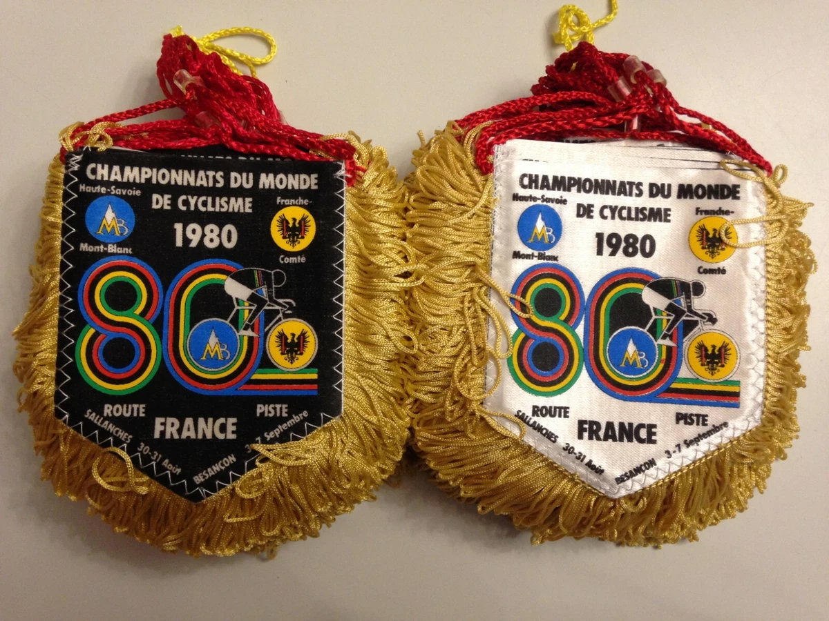 Lot de 2 panneaux de collection de badges, présentoir mural pour