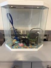 Fish Tank Aquarium Setup with Decorations Accessories Small