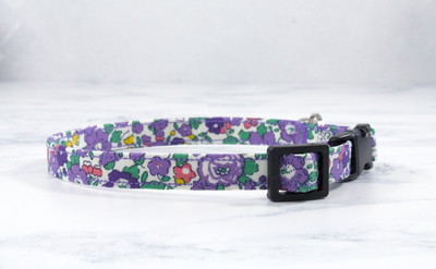 large cat collar