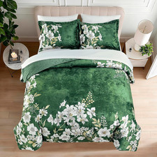 Reversible Dark Green Velvet Comforter Set, 3 Pieces, Queen Size