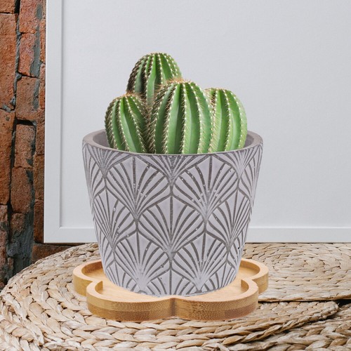 4PCS Tray Pot Saucers For Plants Plant Trays Pots for Outdoor Indoor - Picture 2 of 12