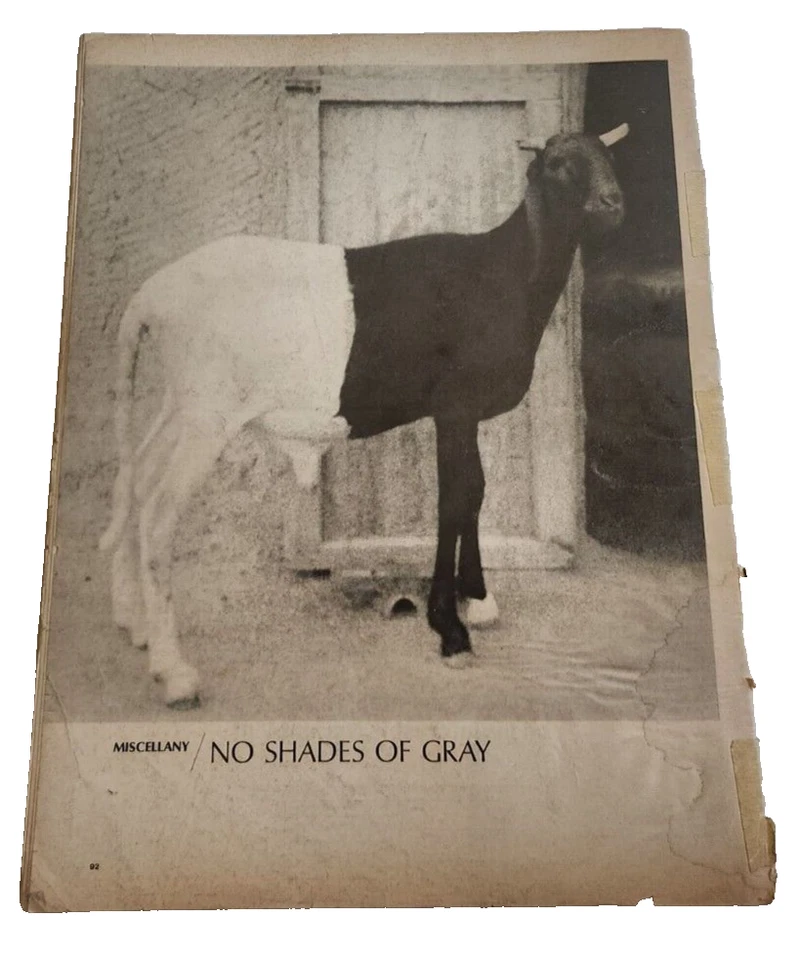 April 5, 1968 LIFE Magazine 60s Advertising ads FREE SHIP 4 EGYPT History - Image 4 of 4