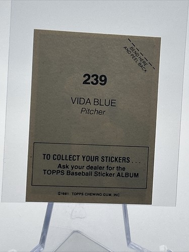 1981 Adesivi Topps Carta Baseball Vida Blu #239 Nuovi di zecca SPEDIZIONE GRATUITA - Foto 2 di 3