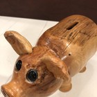 Picture 20 of 20