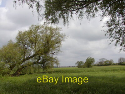 Photo 6x4 Willows in the meadow Thorganby/SE6941 Taken in May 2007. c2007