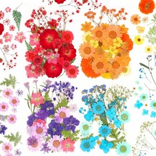 100 Pieces Dried Pressed Flowers for Resin Real Nature Flowers with Leaves Dr...