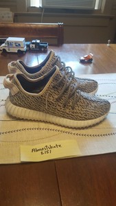 yeezy boost turtle dove size 7