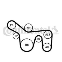 Continental Ctam 6PK1715K1 V-Ribbed Belt Set For Ford