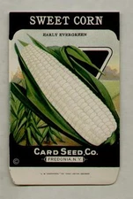 1920's LITHO CARD CO. SWEET CORN EVERGREEN SEED PACKET