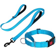 Martingale Dog Collar Leash Set for Small Dogs - Adjustable, Locking Buckle, D