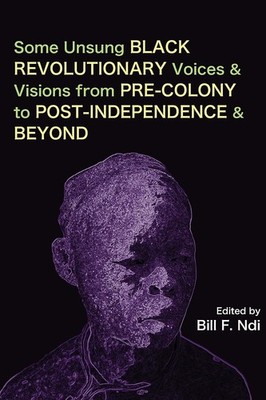 Some Unsung Black Revolutionary Voices and Visions from Pre-Colony to Post-I...