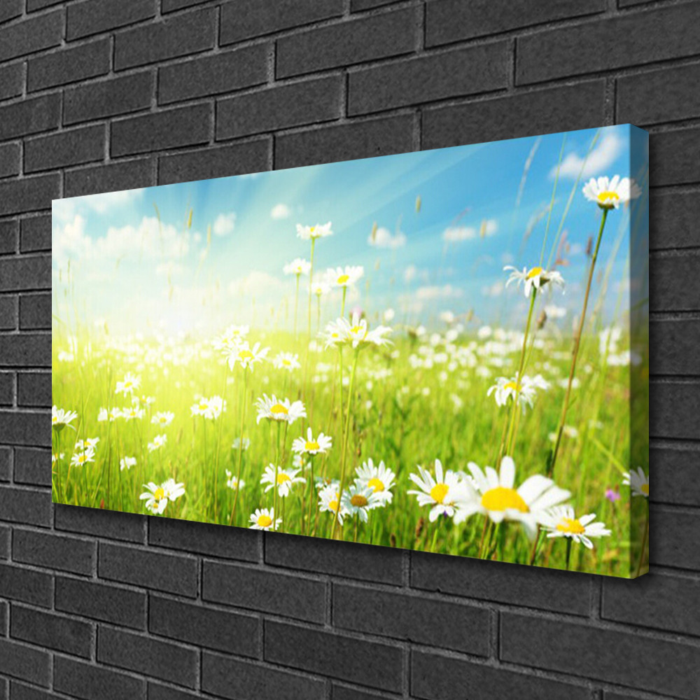 Tableau sur toile nature marguerite 100x50 pour grand mur vide