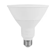 EcoSmart 150-Watt Equivalent PAR38 Dimmable CEC Flood LED Motion Sensor Daylight