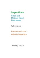 Meg Lee | Inspections Small And Medium-Sized Businesses | Taschenbuch | Englisch