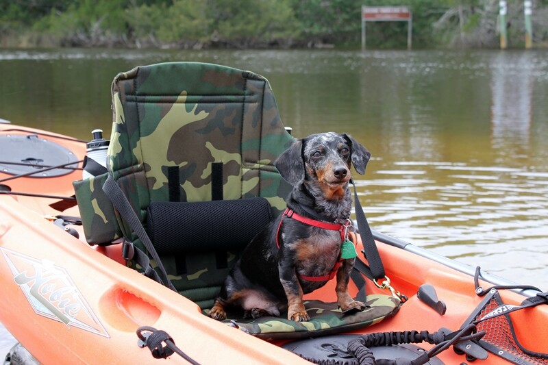 Seat - Camo