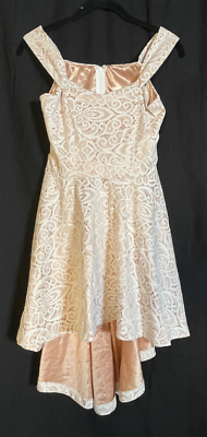 Windsor Womens Pink Lace Dress Size Petite XS Lined Ball Gown Prom Party  Dress | eBay