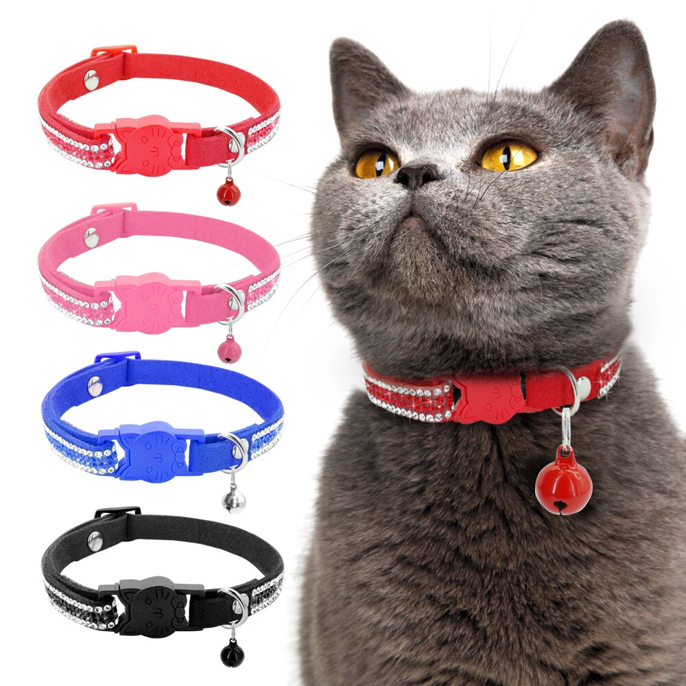 Bling 2025 kitten collars