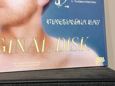 Imaginal disk　限定ホワールプールレコード Imaginal disk限定ホワールプールレコード